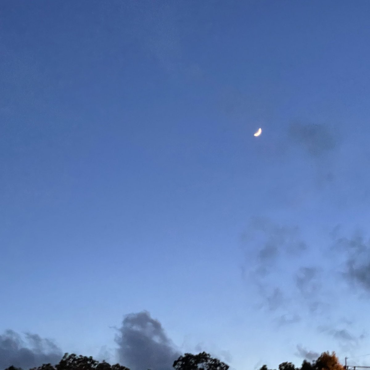 dotplus2019's tweet photo. おはようございます
少しずつまた週２日のウォーキングが再開できています✨
夕方も暑いので日が暮れる頃がちょうどよいですね
昨日は三日月がキレイでした☺️

みなさま今日もよい一日を♪ https://t.co/ijf9xL1fEd
