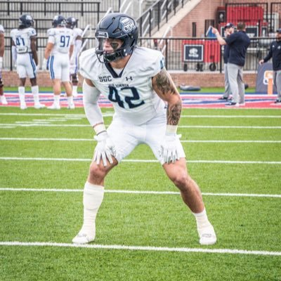 Matt Stewart tweet media