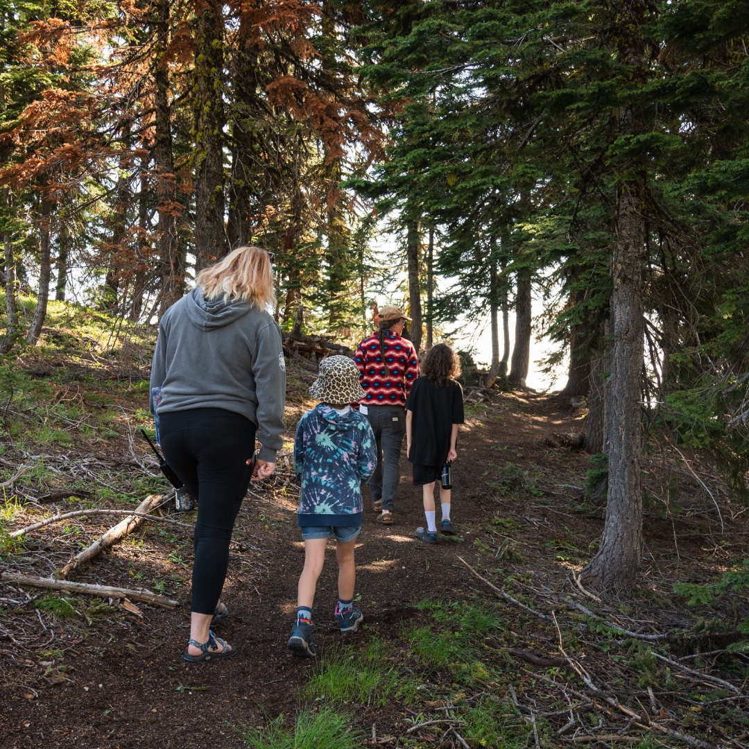 Mt Ashland Ski Area tweet media
