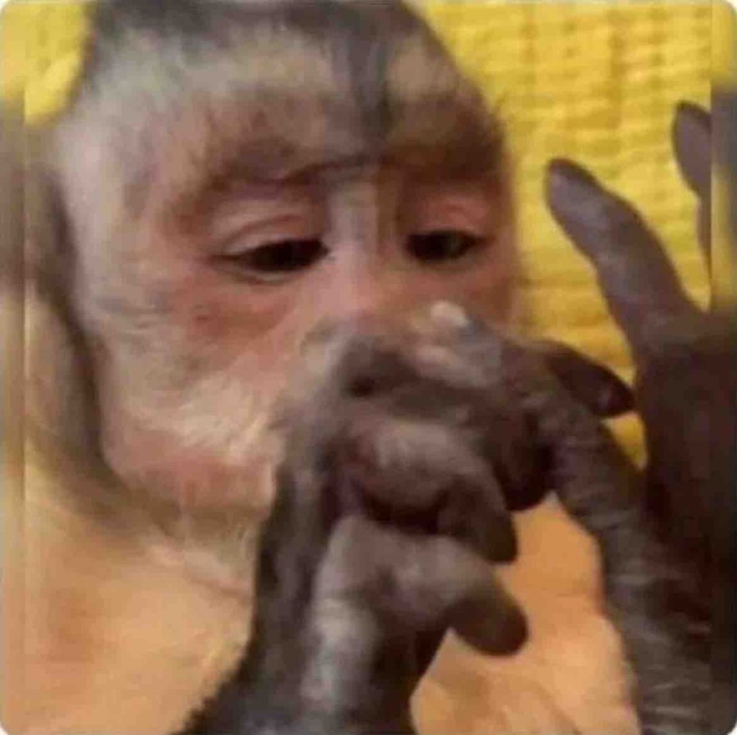 Guarromantico_'s tweet photo. Yo contando los días que faltan para que me paguen. https://t.co/hFMggXBR3W