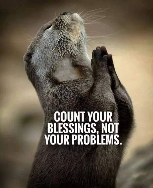 Mindful Maven (@mindfulmaven_) on Twitter photo 