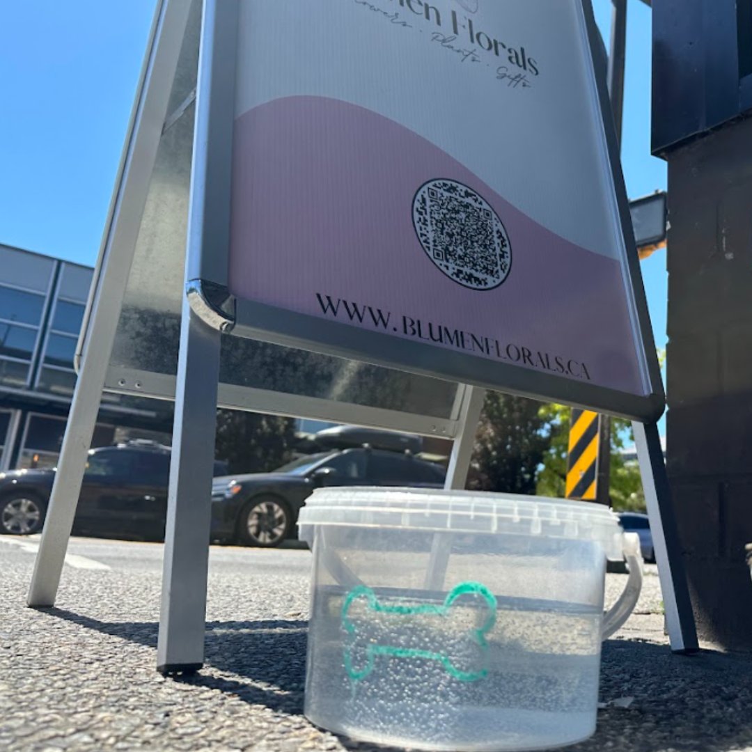 With the heat wave upon us, we would like to thanks businesses in the Mount Pleasant neighborhood who have left water bowls in front of their stores. Let's stay safe and cool together during this hot weather!