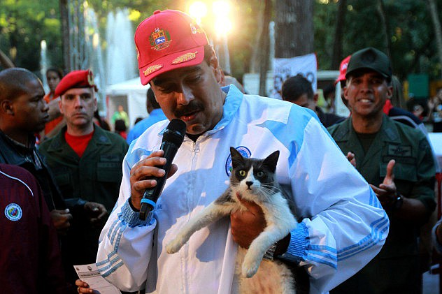 Maigualida Vargas (@maigualidav) on Twitter photo "La capacidad de amar es infinita" Dijo Chávez y bajo esa premisa el Pdte. Nicolás Maduro lanzó la Misión Nevado, por ello y su entrega genuina como principal protector de los animales el #28Jul #VotaFuturo
<a href="/SomosNevado/">MisiónNevadoVzla</a> <a href="/movfuturoven/">Movimiento Futuro</a> <a href="/NicolasMaduro/">Nicolás Maduro</a> "La capacidad de amar es infinita" Dijo Chávez y bajo esa premisa el Pdte. Nicolás Maduro lanzó la Misión Nevado, por ello y su entrega genuina como principal protector de los animales el #28Jul #VotaFuturo
<a href="/SomosNevado/">MisiónNevadoVzla</a> <a href="/movfuturoven/">Movimiento Futuro</a> <a href="/NicolasMaduro/">Nicolás Maduro</a>