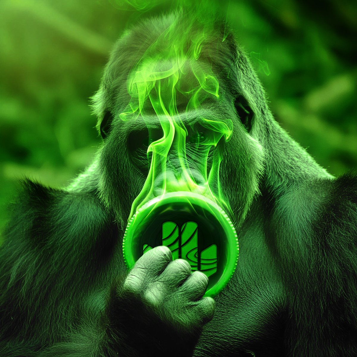 cloud3188's tweet photo. It's time to fire up 🔥🔥🔥
Join us on @supremekong
Don't miss out on the next big wave #KONGSEASON #JNGL https://t.co/Ysja1oqeZT