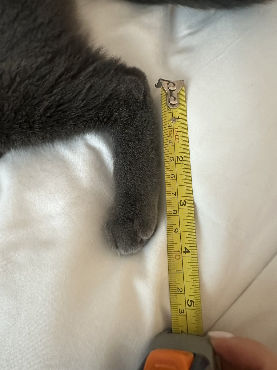 mousegorl's tweet photo. in case anyone was wondering… https://t.co/XEAjl1cfEe