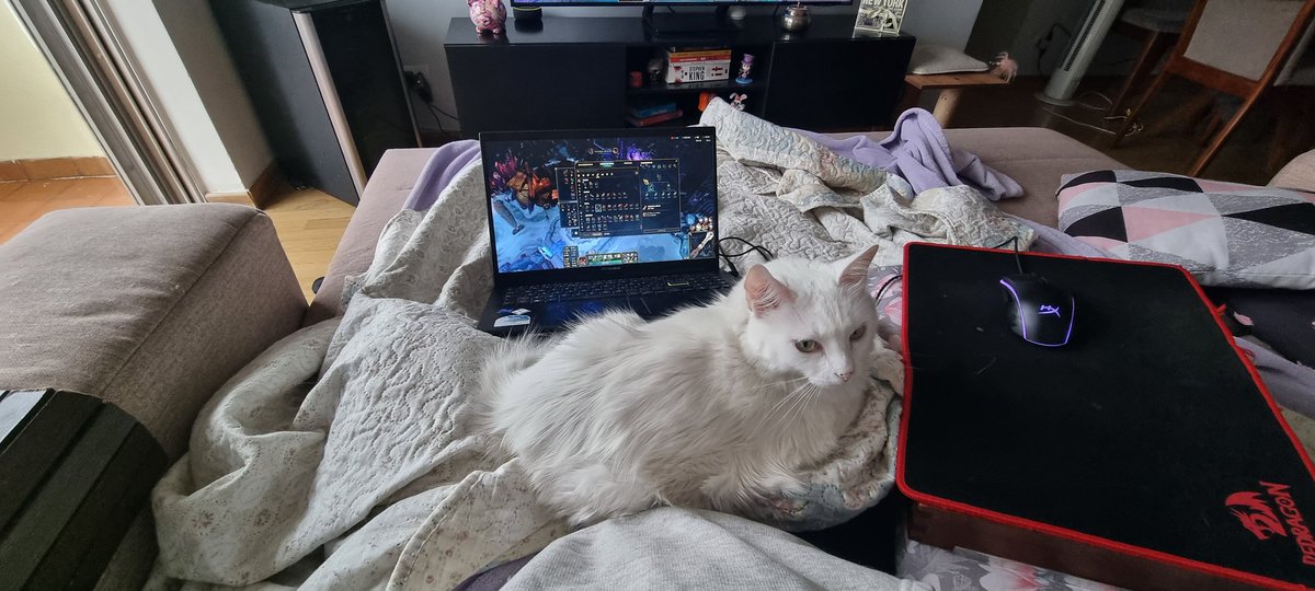 lumarreti's tweet photo. E joga como?
Gatinha no colo, querendo só ficar quentinha kkkk https://t.co/U9YJpDa5cB