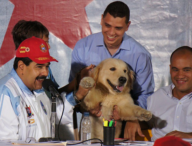 Maigualida Vargas (@maigualidav) on Twitter photo 🐶❤️ Por la victoria de los animales, por la victoria de la dignidad, la compasión y la justicia. El #28Jul #VotaFuturo
<a href="/movfuturoven/">Movimiento Futuro</a> <a href="/HectoRodriguez/">Héctor Rodríguez C.</a> <a href="/NicolasMaduro/">Nicolás Maduro</a> 🐶❤️ Por la victoria de los animales, por la victoria de la dignidad, la compasión y la justicia. El #28Jul #VotaFuturo
<a href="/movfuturoven/">Movimiento Futuro</a> <a href="/HectoRodriguez/">Héctor Rodríguez C.</a> <a href="/NicolasMaduro/">Nicolás Maduro</a>