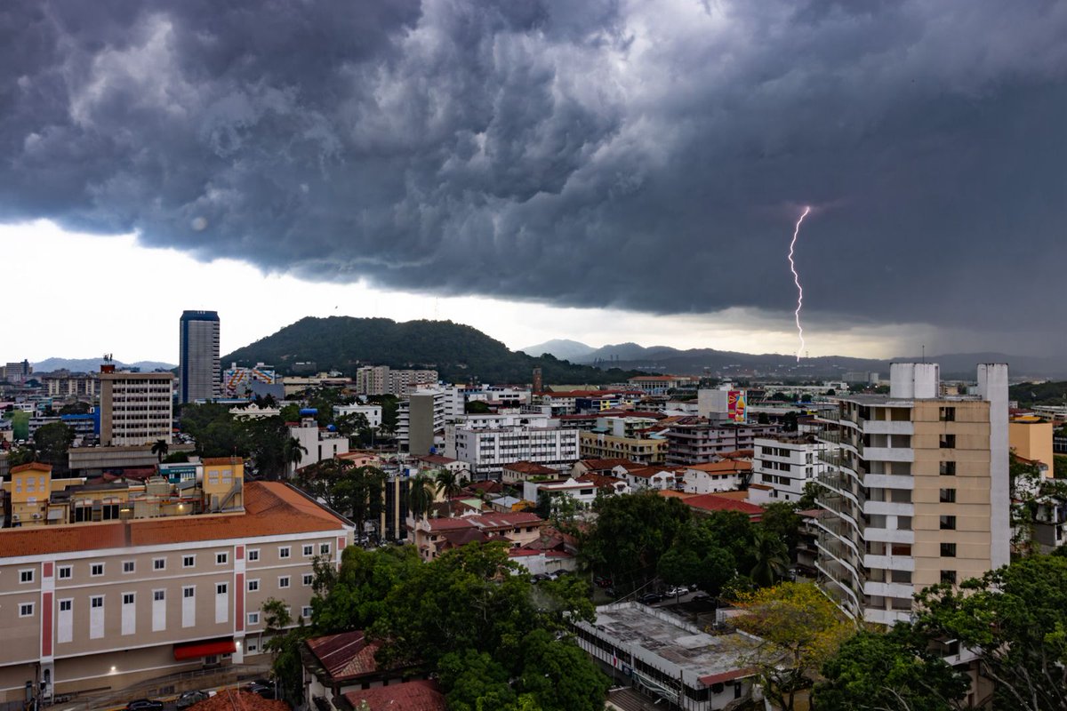 Agustín Gonçalves tweet media