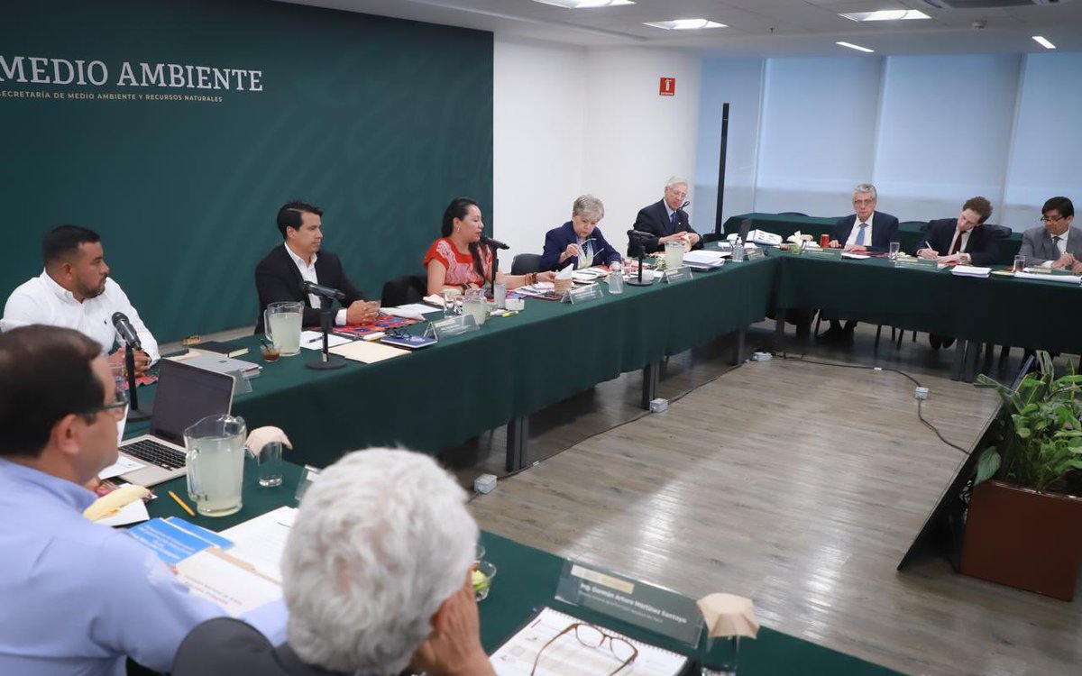 María Luisa Albores González tweet media