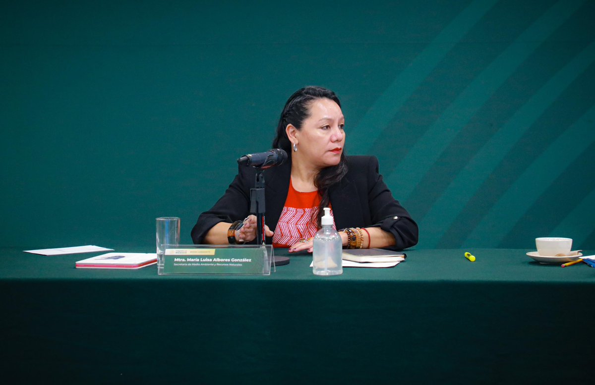 María Luisa Albores González tweet media