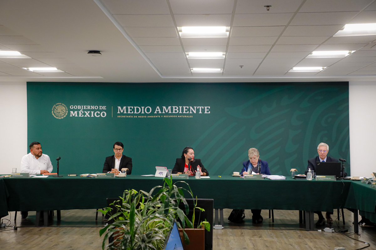 María Luisa Albores González tweet media