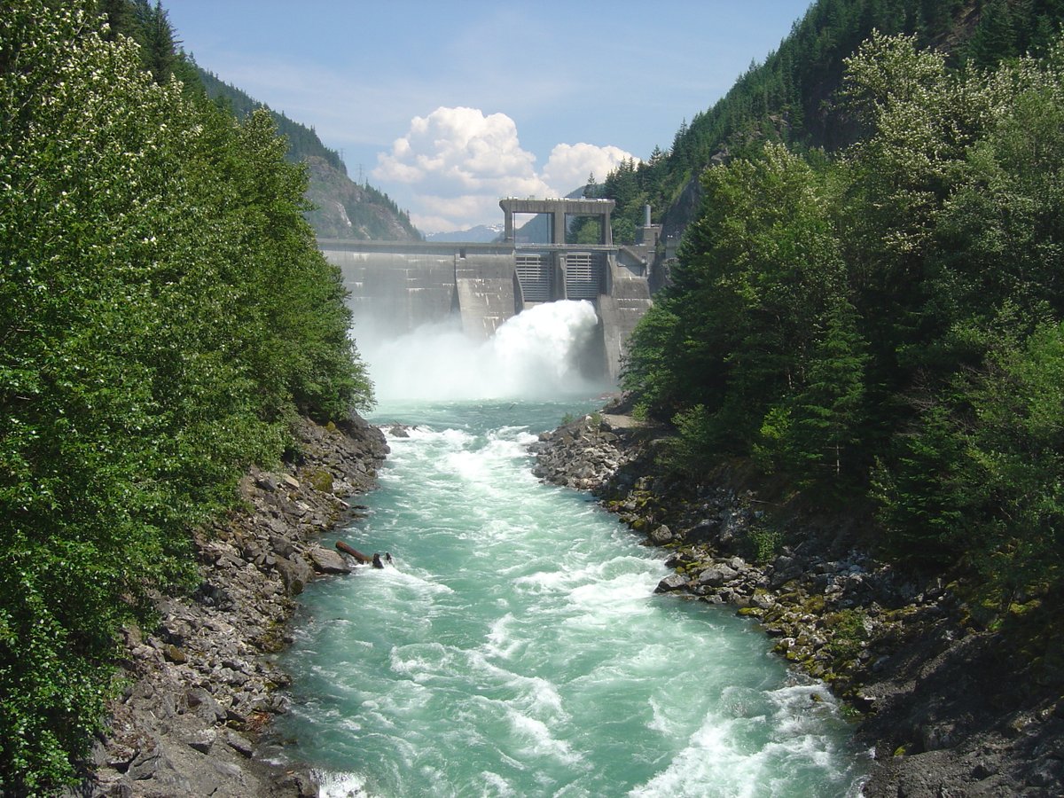 Skagit Tours tweet media