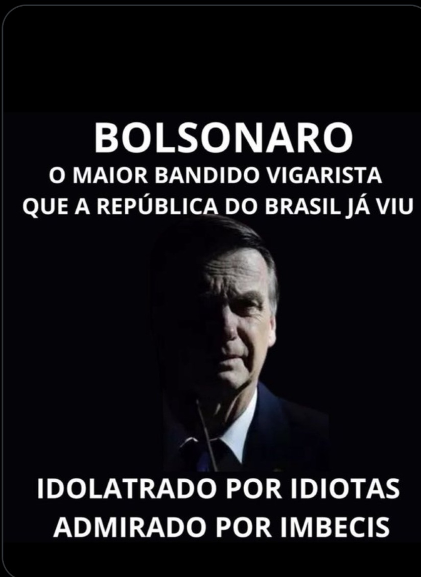 chicocamillo's tweet image. #bolsona