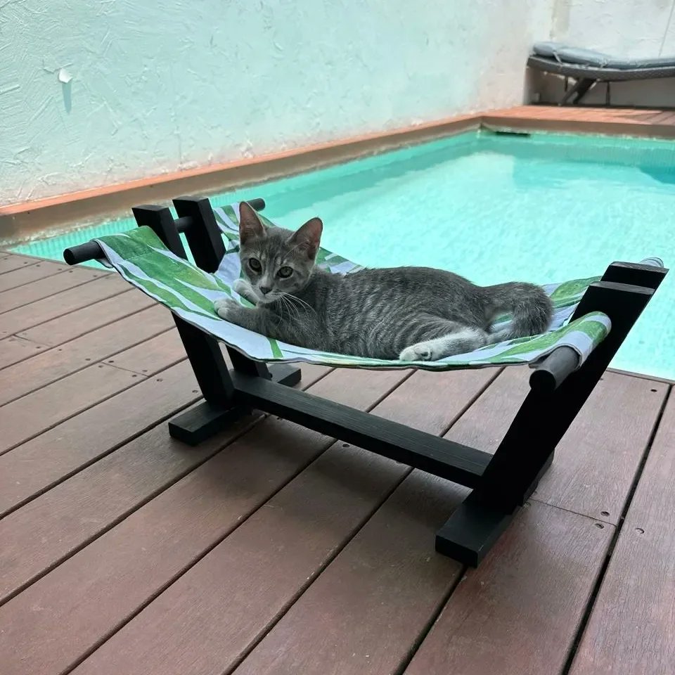 LHamacats's tweet photo. La cara de tu michi cuando le dices que le tienes una sorpresa y en vez de ser una #Hamacat resulta que regresaste con tu ex...
#Hamacats
#camasparagatos
#camasparamascotas
#hechoenmexico
#hechoamano
#hechoconamor https://t.co/hQO3qFNm0P