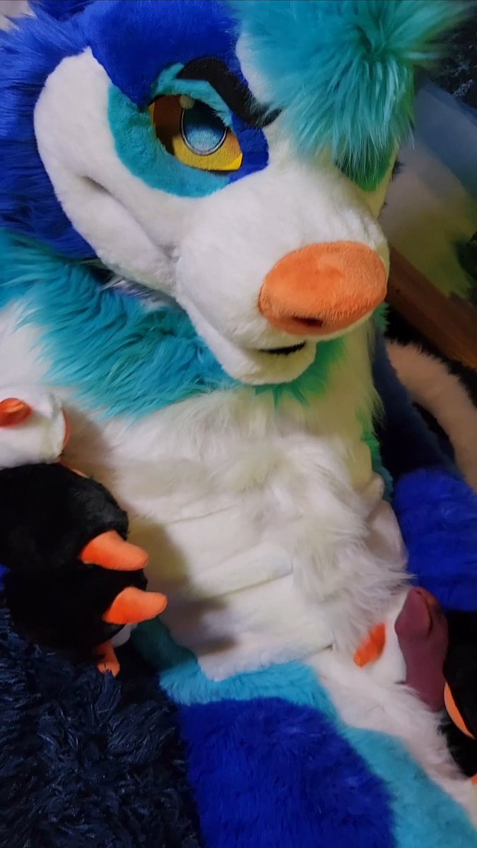 Mountin_Woofs's tweet photo. Heard you were looking for a stud husky?
Don't make me work this thing all by myself...
#FurryNSFW #FurryAD #Murrsuit #wereable https://t.co/Co8sl9zoaS