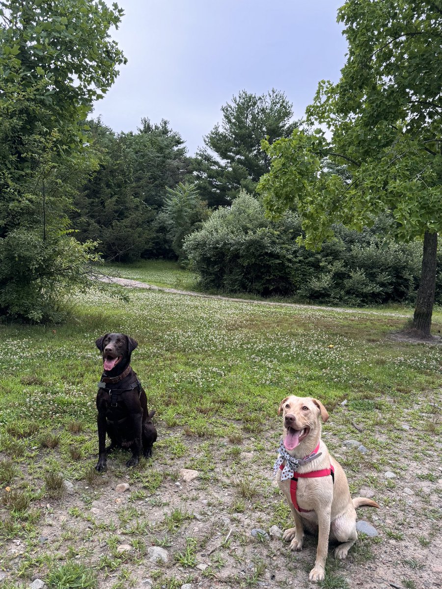 Zach Bryan tweet media