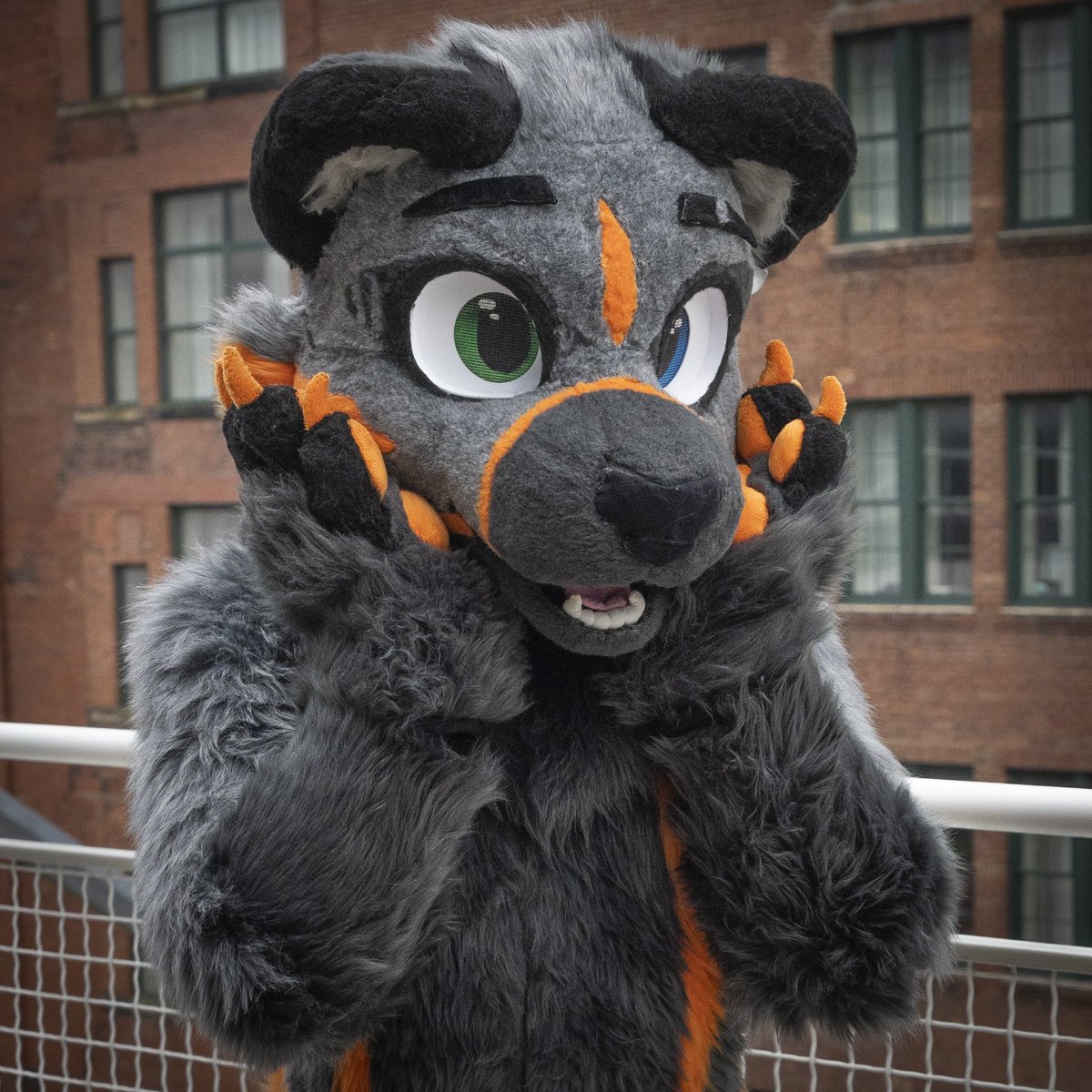 Forresttheskunk's tweet photo. Some AMAZING photos @Croc_Block took for me!! https://t.co/H9XRHLDeR7