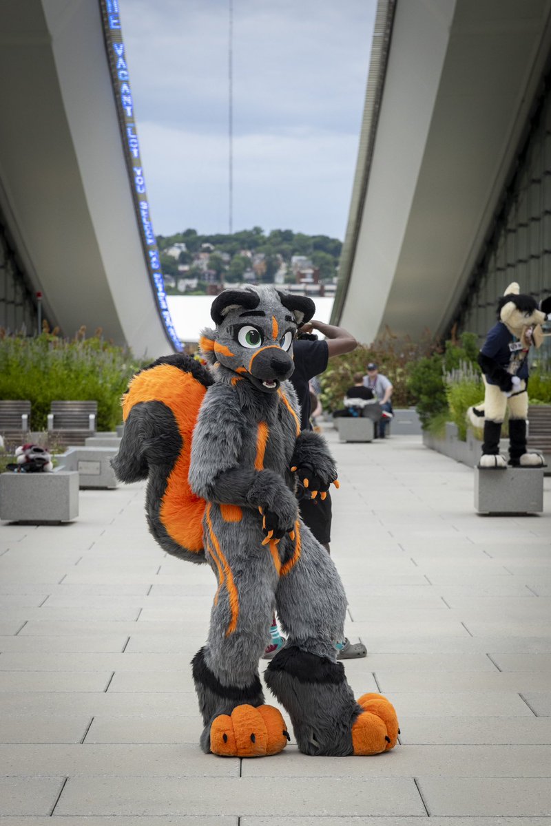 Forresttheskunk's tweet photo. Some AMAZING photos @Croc_Block took for me!! https://t.co/H9XRHLDeR7