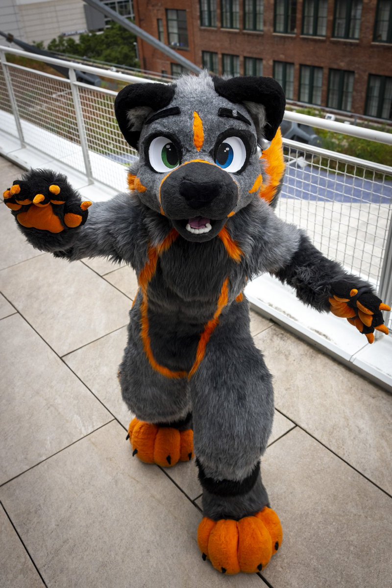 Forresttheskunk's tweet photo. Some AMAZING photos @Croc_Block took for me!! https://t.co/H9XRHLDeR7