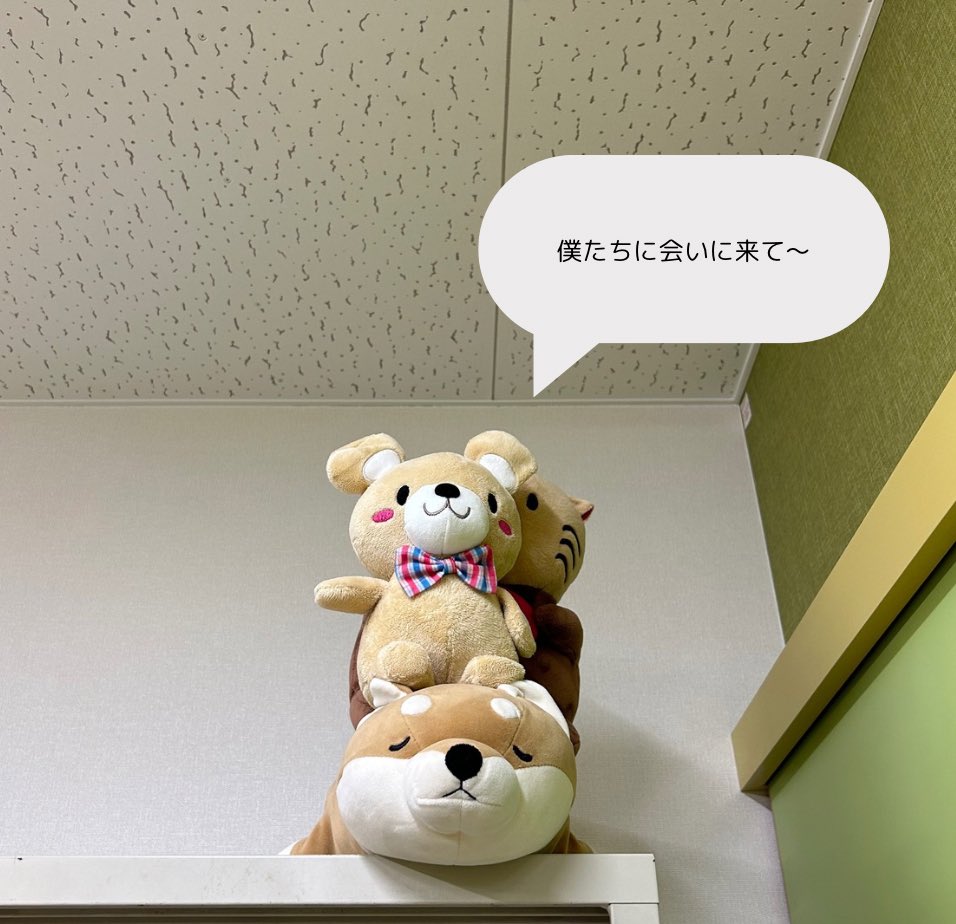 nurc_shinkan's tweet photo. ／
こんなチャンスないんじゃない！？
水上運動会開催決定👏👏
＼

そろそろ期末試験も近づいてきましたね〜「勉強いやだなー」って思ってません？ボート🚣に乗って気分あげよう🤩

日時: 7/13.14 9:00〜12:00
対象: 1年生、2年生
希望者はDM💌まで

#名古屋大学
#名大ボート https://t.co/RLofjTM5pV