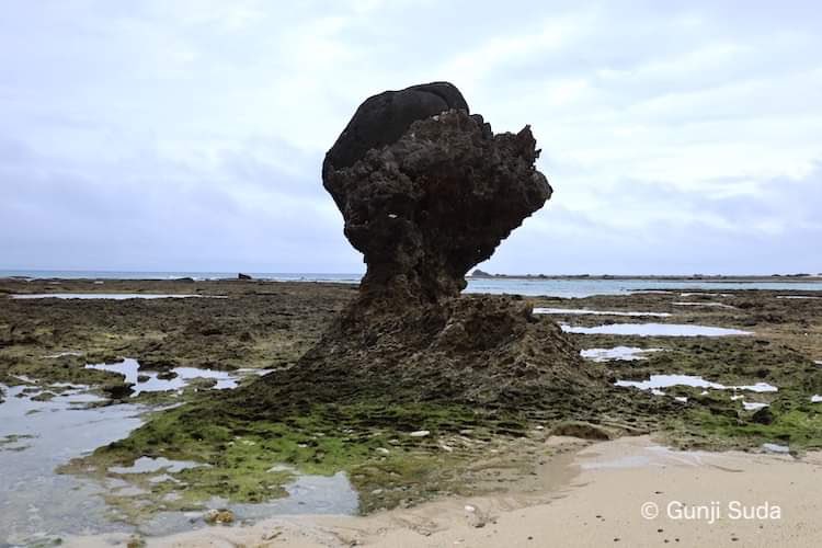 voiceofstone's tweet photo. 🔵琉球弧の聖なる石を訪ねる〜奄美群島編
子抱き岩（クヮァダキ岩）：鹿児島県奄美市笠利町
 #琉球弧 #聖石巡礼 #パワースポット #子抱き岩 #ryukyu_arc #sacred_stone_pilgrimage #ibiganashi #chikaraishi #power_spot https://t.co/kEBKSOeNNK