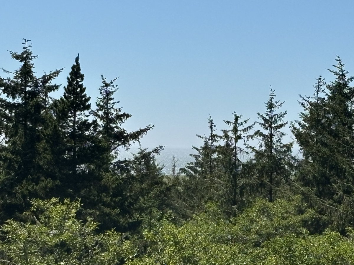 WWII Bunker and roof top pic of the Pacific Ocean.