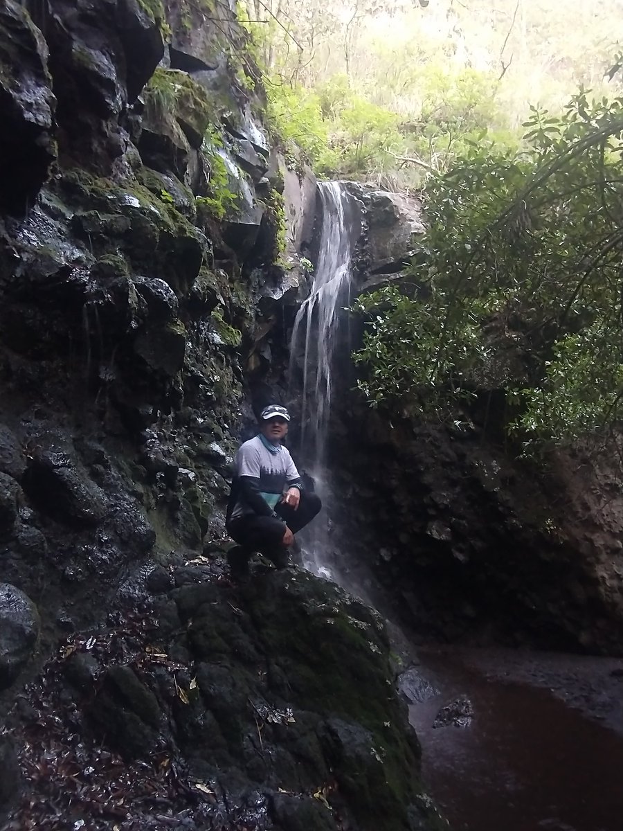 Nosoypelusa's tweet photo. El compañero perfecto para tu vida, eres tú.
La gente va y viene, pero tú permaneces...

#LoLeiPorAhi 
#TrailLover #PrefieroLaMontaña #UltraDeMente #UltraSalvaje #Ultra4eva https://t.co/ugMgITFEhE