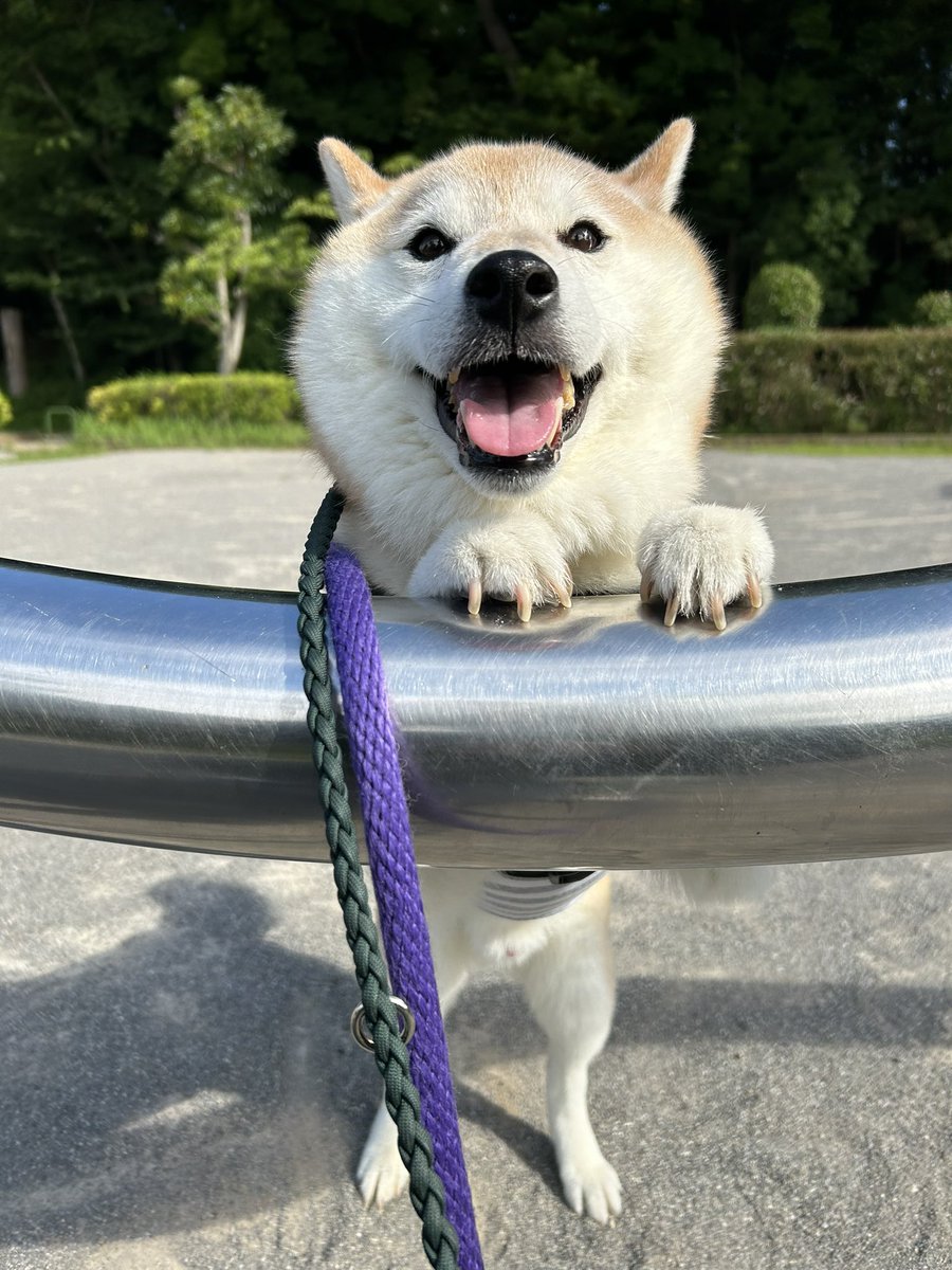 poteto0205's tweet photo. おはよ��� https://t.co/KKavHo9fJu