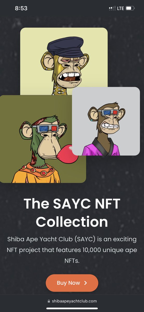 VRClev's tweet photo. The only NFT you’ll need 🔥🚀 #SHIBA #Shibarium #SAYC https://t.co/hTqhiKjsmy
