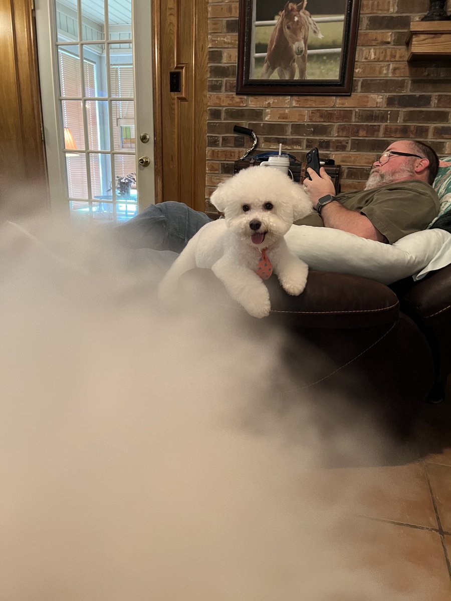 Max ya’ll…through Charlie’s tail 🤦‍♀️
