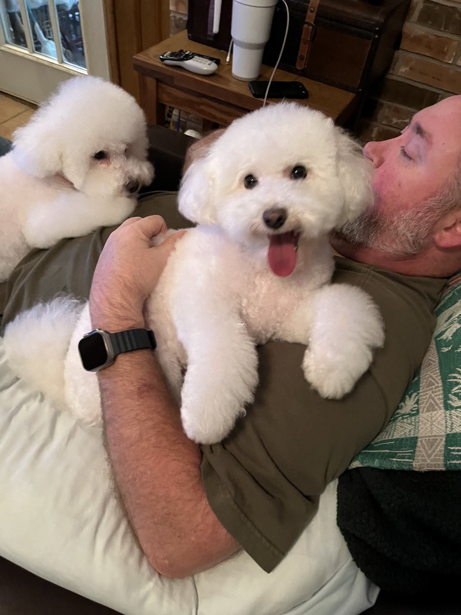 Charlie’s in dads arm Max on lap ❤️