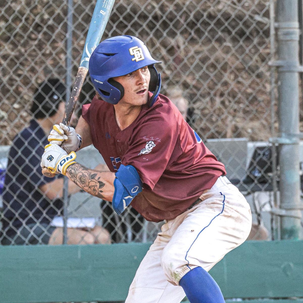 UC Santa Barbara Baseball tweet media
