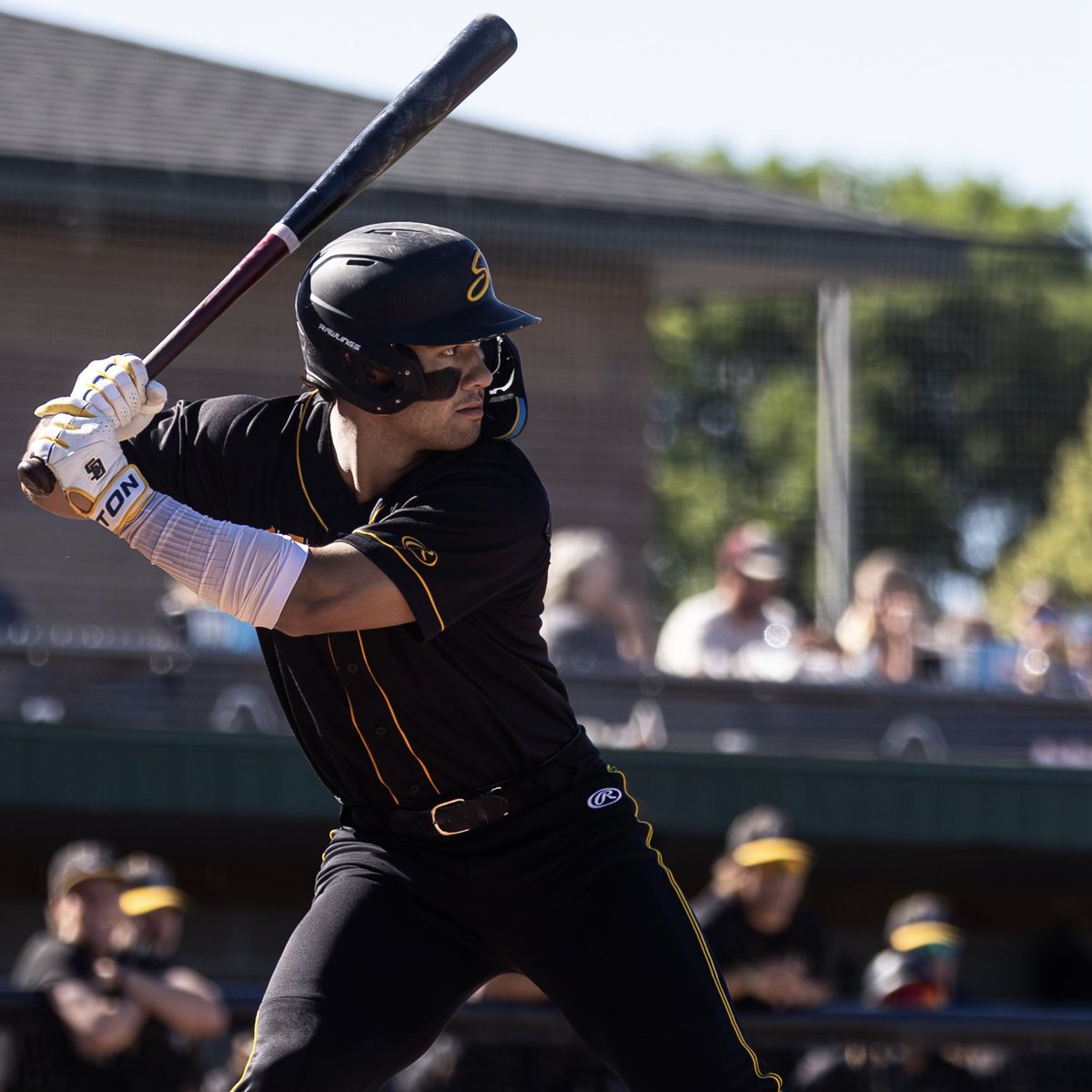 UC Santa Barbara Baseball tweet media