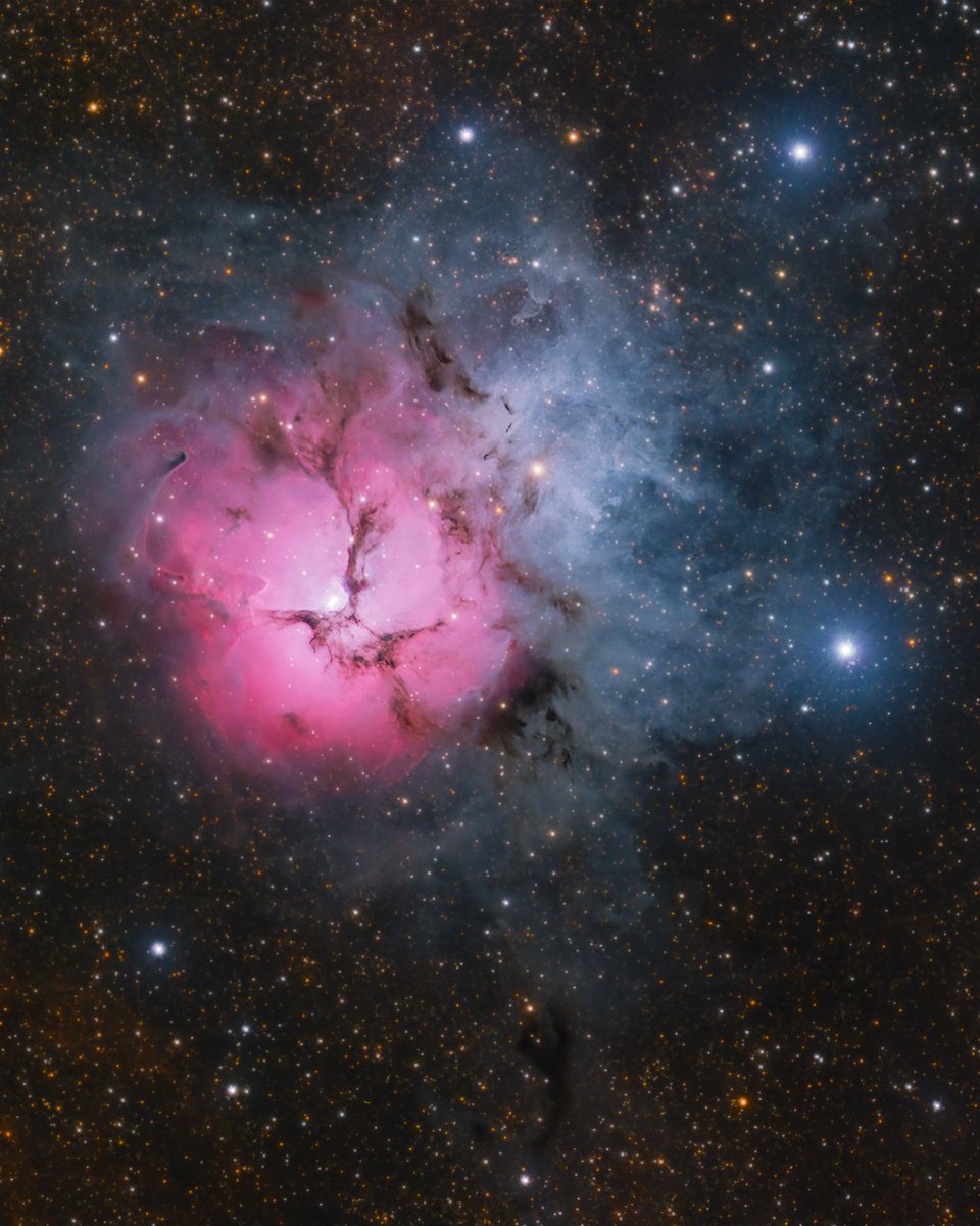 AstroBackyard's tweet photo. Let's See Your Trifid Nebula! 📷

Right now is the perfect time to photograph the brilliant Trifid Nebula in Sagittarius.

Have you gone after this one yet this summer? If so, please share your images in the comments.

Not only is it cool to see the different processing styles you have, but it's also massively inspiring to others to see what's possible with amateur equipment.

I took this one from the Texas Star Party last year using the following gear:

Camera: https://t.co/eewONrK41c
Telescope: https://t.co/ueptT6oh7r
Mount: https://t.co/aogPI6t10P

(2 Hours Total Exposure)