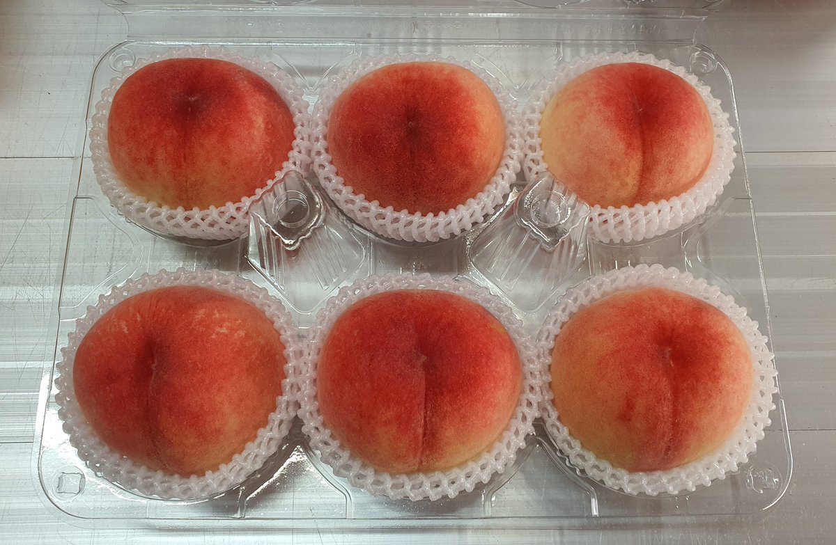 ranewchi's tweet photo. 초복 맞이 알티이벤트 합니다.🍑
무더운 여름 복숭아로 복 챙기세요😆🍑

밑의 인용한 복숭아 판매글을 (알티/RT) 해주신 2분께 랜덤으로 추첨하여
복숭아를 선물로 보내드립니다.😘🍑
🍑6개 들이 /딱복🍑

🍑추첨발표일 : 7월 13일 🍑
🍑초복에 맞춰 보내드릴 예정🍑

#RT #알티이벤트 #복숭아 https://t.co/qXEYlBkgzZ