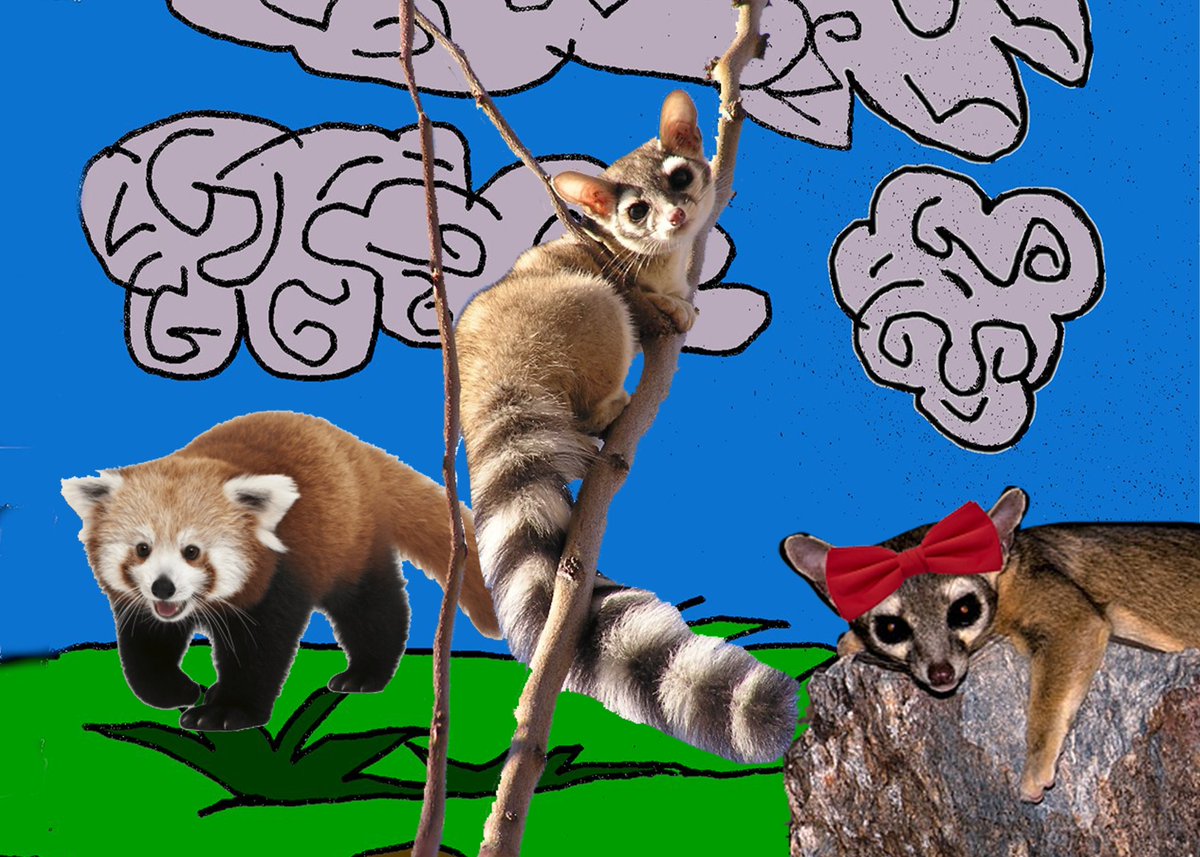 Glass Seastar (@glassseastar) on Twitter photo 