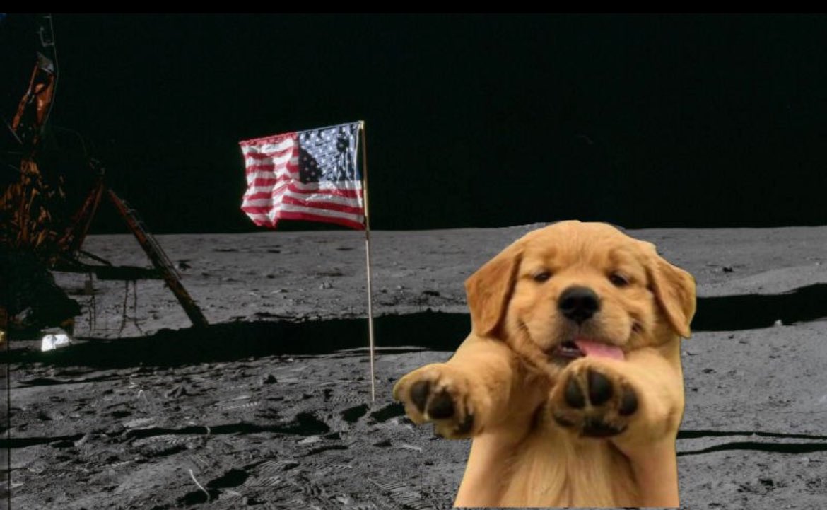 <a href="/wallstreetbets/">WallStreetBets</a> What about diamond paws $Buddy ?