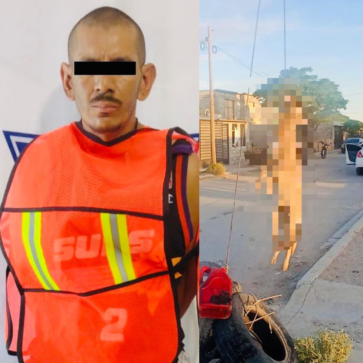 LaMiraDigital's tweet photo. DROG4DICTO QUE COLGÓ A PERRITO EN CD. JUÁREZ  SE QUEDÓ EN PRISIÓN PREVENTIVA 🚨👏🏻

El día de ayer Adair Humberto A. A. fue vinculado a proceso penal y se quedó en prisión preventiva por seis meses por delitos Contra la Salud de cuyo proceso continuará 1/5 https://t.co/hEIz6wSa5L
