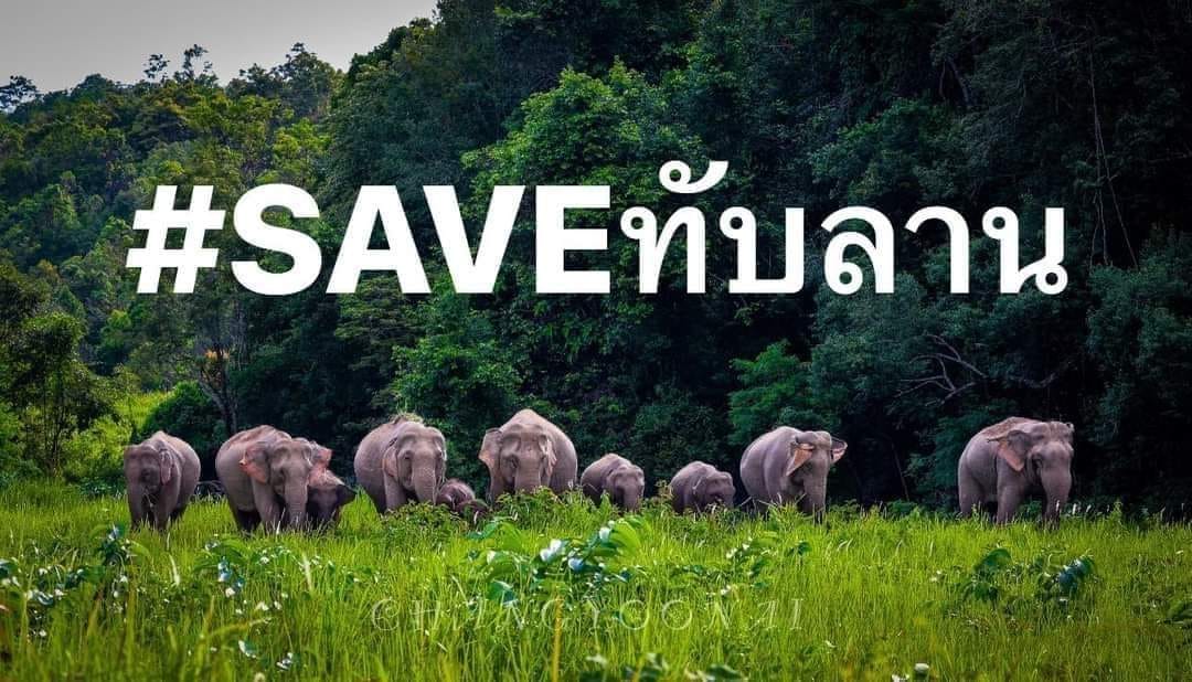 therelaxcode's tweet photo. #SAVEทับลาน #saveป่าทับลาน https://t.co/nO1jS2y4ry