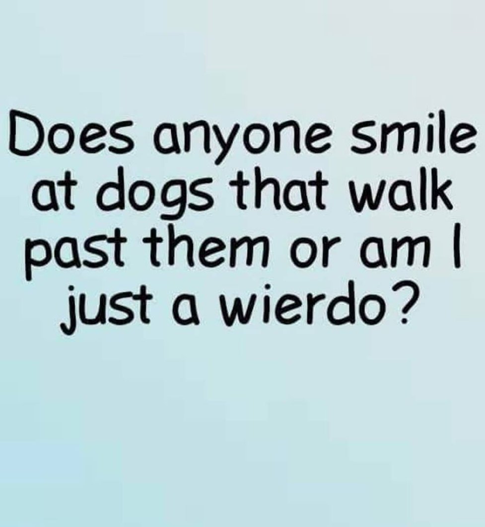 Dalbodog's tweet image. 