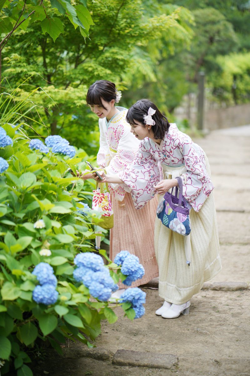 鎌倉 着物レンタル 花のん tweet media
