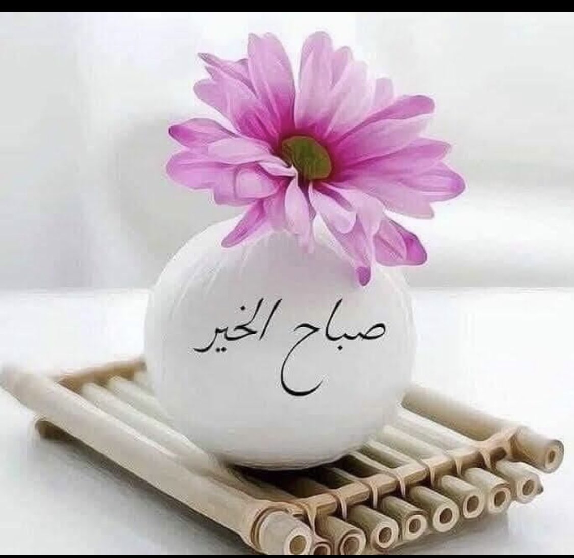 #اكتب_لنا_تغريده_حلوه 

ليس من سمة الحياة الدنيا تمام الحظوظ، فلا كمال مطلق ولا نقص مطلق، ثمة نِعم كتبت لك وثمة حرمان فُرض عليك، وهنا تبدأ حياتك أو تنتهي فإما أن تعظم النعم التي بيمينك فتعيش راضياً وإما أن تُقلب كفيك على ما حرمت منه وليس وراء ذلك إلا حياة تمر بك دون أن تعيشها!