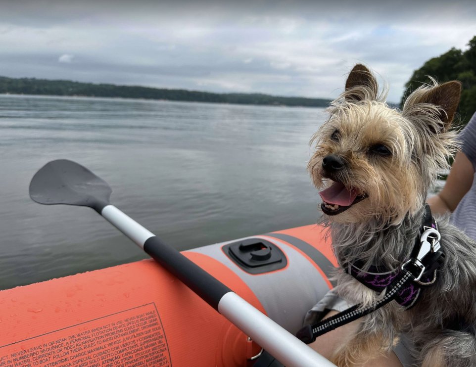 Today's my wife's birthday and we decided to go for kayaking with our doggo 🥰

Just two more days before our big move!