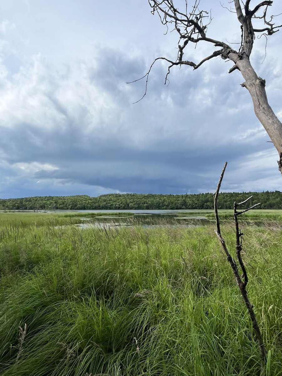 ChrisCart25's tweet photo. What a nice little shelf cloud over the area of Fall River NS this afternoon! #nsstorm #ShareYourWeather https://t.co/pQIa0RqdFi