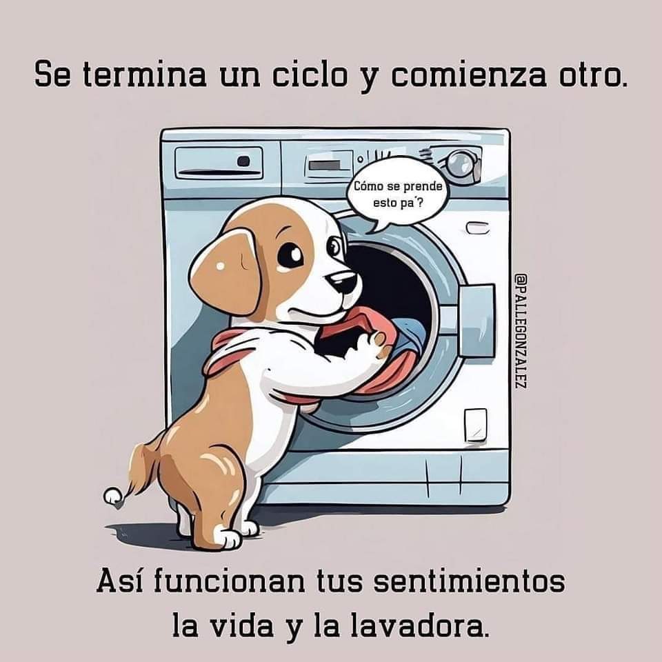Waterme64288975's tweet photo. Aññññ 🫠 https://t.co/7EqEjI0wbW