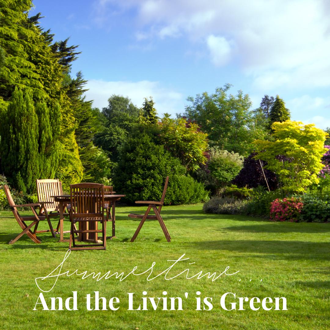 Lapavava's tweet photo. Making your home energy-efficient and eco-friendly is easier than you might think and can save you money while helping the environment. 

Start by upgrading your insulation—attics, walls, and floors are great places to focus on. Energy-efficient windows and smart thermostats a... https://t.co/EFo0zVHvKk