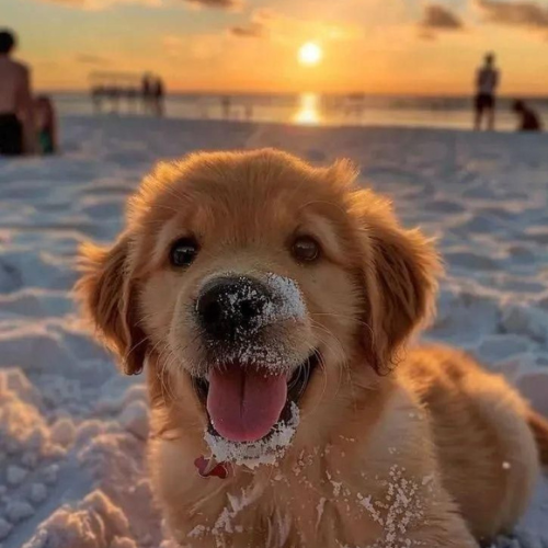 SandyCTO tweet media