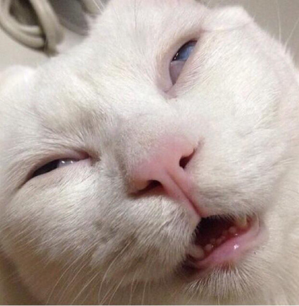 After conditioning....