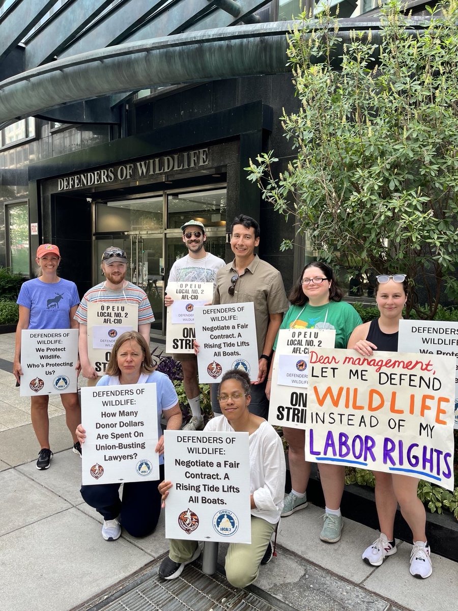 Unionized Staffers at SEIU (@unionstaffseiu) on Twitter photo We stand with our <a href="/OPEIULocal2/">OPEIU Local 2</a> union siblings at <a href="/defenders_staff/">Defenders United</a>, who are on strike for a FAIR CONTRACT.
.<a href="/Defenders/">Defenders of Wildlife</a>, do the right thing and agree to a fair contract so your awesome staff can keep doing great work!
#solidarityforever
#1u We stand with our <a href="/OPEIULocal2/">OPEIU Local 2</a> union siblings at <a href="/defenders_staff/">Defenders United</a>, who are on strike for a FAIR CONTRACT.
.<a href="/Defenders/">Defenders of Wildlife</a>, do the right thing and agree to a fair contract so your awesome staff can keep doing great work!
#solidarityforever
#1u