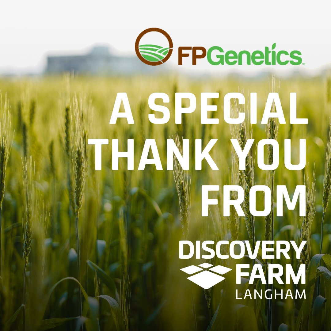 Discovery Farm tweet media